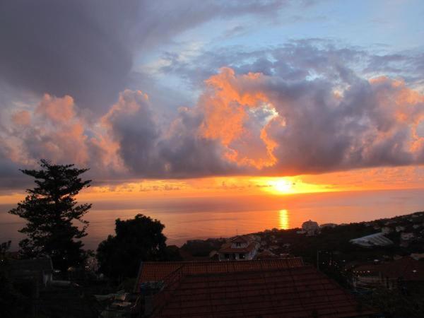 Villa Madeira House Calheta  Habitación foto
